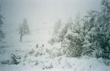 Зима на Алтае. Слияние Ю. Иолдо и Верхнего Курагана.